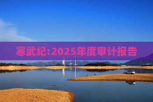 寒武纪:2025年度审计报告