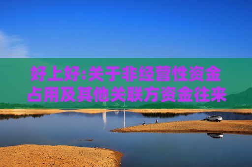 好上好:关于非经营性资金占用及其他关联方资金往来情况的专项审核说明