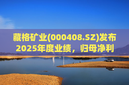 藏格矿业(000408.SZ)发布2025年度业绩，归母净利润38.52亿元，同比增加49.32%