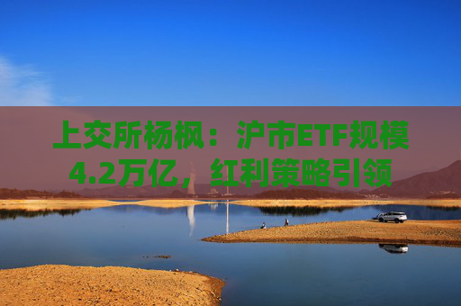 上交所杨枫：沪市ETF规模4.2万亿，红利策略引领
