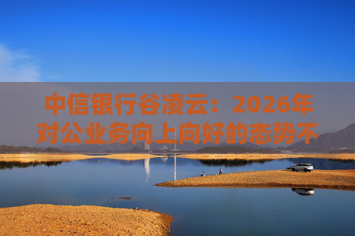 中信银行谷凌云：2026年对公业务向上向好的态势不会改变