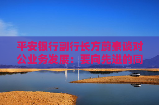 平安银行副行长方蔚豪谈对公业务发展：要向先进的同行多去学习，同时要大快步赶上