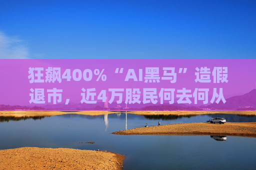 狂飙400%“AI黑马”造假退市，近4万股民何去何从？