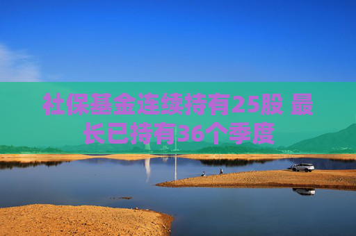 社保基金连续持有25股 最长已持有36个季度