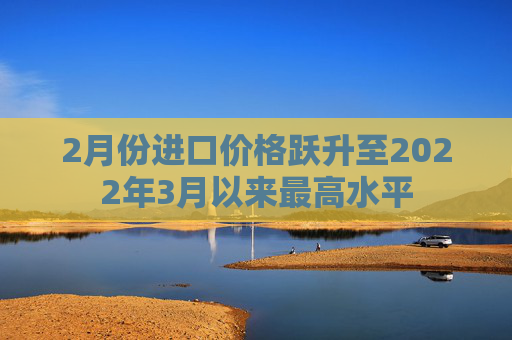 2月份进口价格跃升至2022年3月以来最高水平