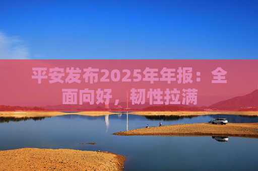 平安发布2025年年报：全面向好，韧性拉满