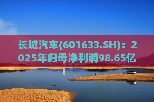 长城汽车(601633.SH)：2025年归母净利润98.65亿元，每股拟派利0.35元