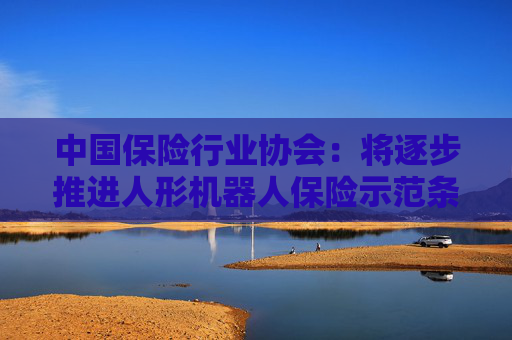 中国保险行业协会：将逐步推进人形机器人保险示范条款