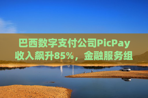 巴西数字支付公司PicPay收入飙升85%,金融服务组合持续扩大
