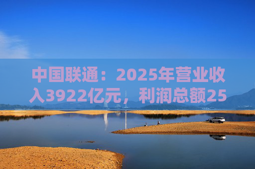 中国联通：2025年营业收入3922亿元，利润总额253亿元