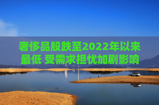 奢侈品股跌至2022年以来最低 受需求担忧加剧影响