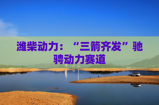 潍柴动力：“三箭齐发”驰骋动力赛道