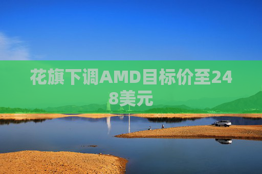 花旗下调AMD目标价至248美元