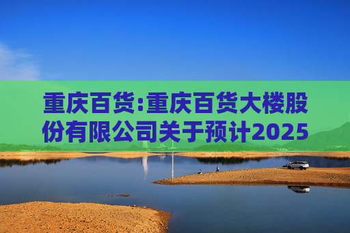 重庆百货:重庆百货大楼股份有限公司关于预计2025年日常关联交易的公告
