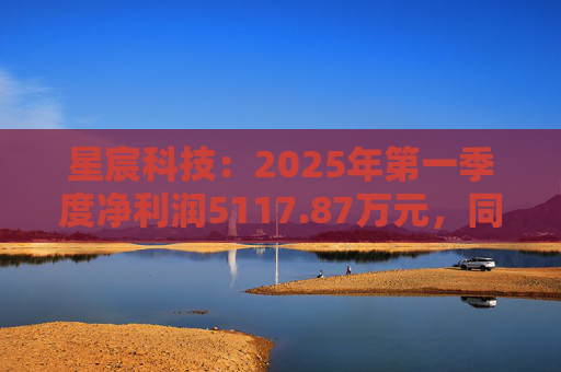 星宸科技：2025年第一季度净利润5117.87万元，同比增长0.48%  第1张