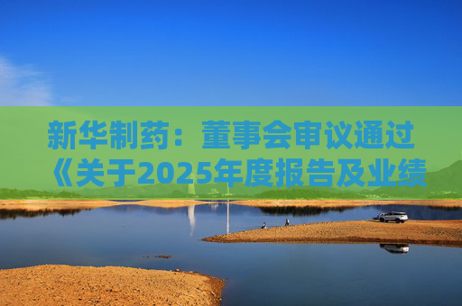 新华制药：董事会审议通过《关于2025年度报告及业绩公告的议案》等多项议案