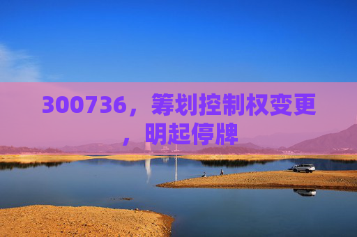 300736，筹划控制权变更，明起停牌