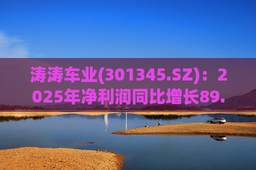 涛涛车业(301345.SZ)：2025年净利润同比增长89.29% 拟10派15元