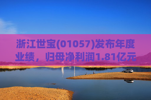 浙江世宝(01057)发布年度业绩，归母净利润1.81亿元 同比增加21.05%