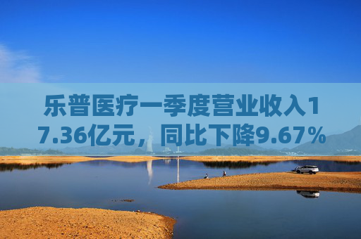 乐普医疗一季度营业收入17.36亿元，同比下降9.67%  第1张