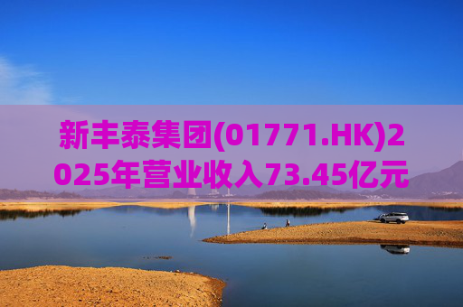 新丰泰集团(01771.HK)2025年营业收入73.45亿元，同比下降14.7%