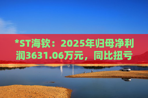 *ST海钦：2025年归母净利润3631.06万元，同比扭亏为盈