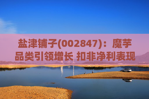 盐津铺子(002847)：魔芋品类引领增长 扣非净利表现亮眼