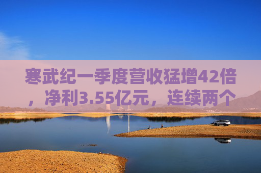 寒武纪一季度营收猛增42倍，净利3.55亿元，连续两个季度盈利  第1张