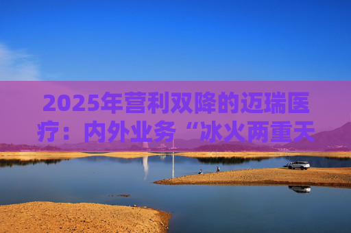 2025年营利双降的迈瑞医疗：内外业务“冰火两重天”