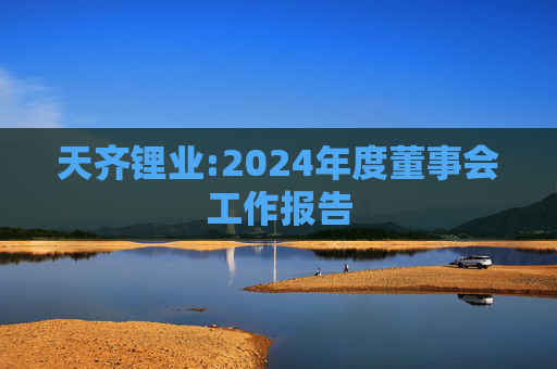 天齐锂业:2024年度董事会工作报告  第1张