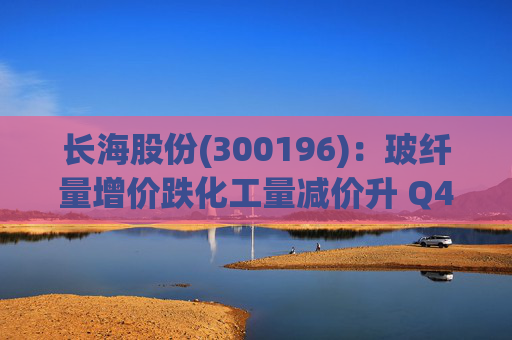 长海股份(300196)：玻纤量增价跌化工量减价升 Q4业绩同比显著修复