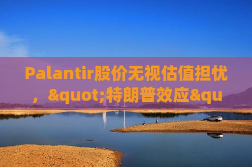 Palantir股价无视估值担忧，"特朗普效应"压倒空头  第1张