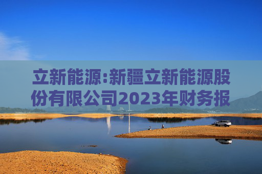 立新能源:新疆立新能源股份有限公司2023年财务报表审计报告书