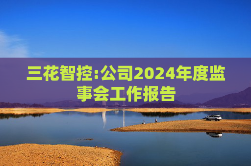 三花智控:公司2024年度监事会工作报告  第1张