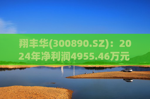 翔丰华(300890.SZ)：2024年净利润4955.46万元 同比下降40.23%