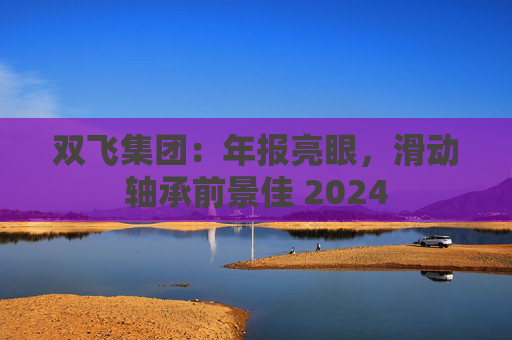 双飞集团：年报亮眼，滑动轴承前景佳 2024