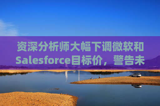资深分析师大幅下调微软和Salesforce目标价,警告未来一年将"艰难" 第1张 资深分析师大幅下调微软和Salesforce目标价,警告未来一年将"艰难" 第1张