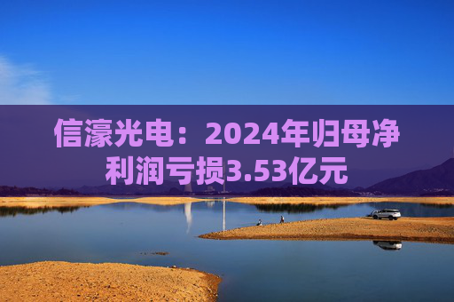 信濠光电：2024年归母净利润亏损3.53亿元  第1张