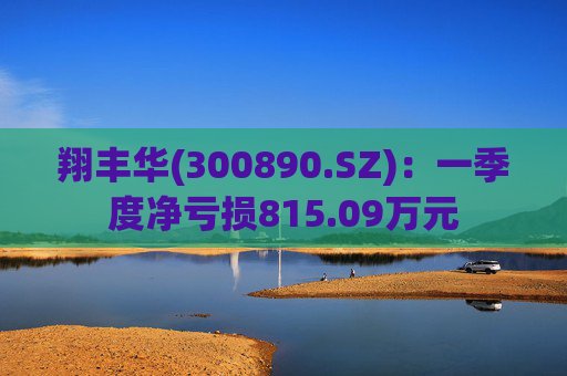 翔丰华(300890.SZ):一季度净亏损815.09万元 第1张 翔丰华(300890.SZ):一季度净亏损815.09万元 第1张