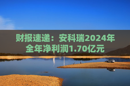 财报速递：安科瑞2024年全年净利润1.70亿元