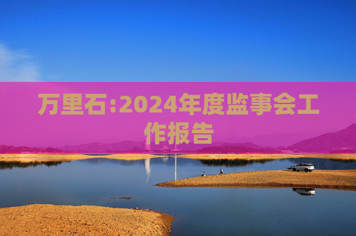 万里石:2024年度监事会工作报告  第1张