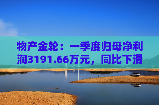 物产金轮：一季度归母净利润3191.66万元，同比下滑7.43%