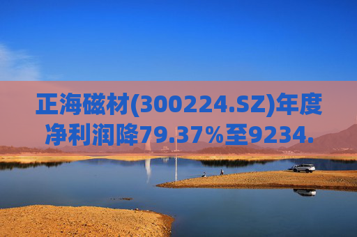 正海磁材(300224.SZ)年度净利润降79.37%至9234.02万元  高性能钕铁硼永磁材料销量实现连续七年增长