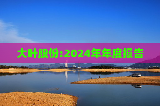 大叶股份:2024年年度报告  第1张