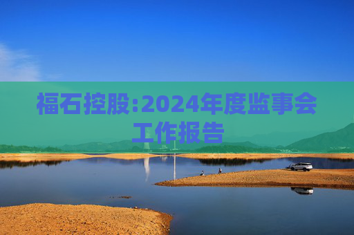 福石控股:2024年度监事会工作报告  第1张