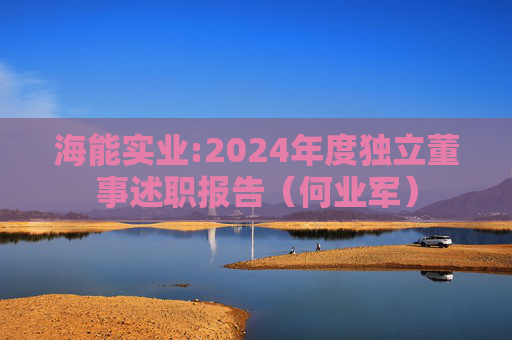 海能实业:2024年度独立董事述职报告（何业军）  第1张