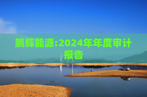 鹏辉能源:2024年年度审计报告