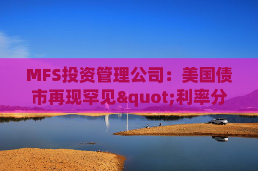 MFS投资管理公司：美国债市再现罕见"利率分化"现象  第1张