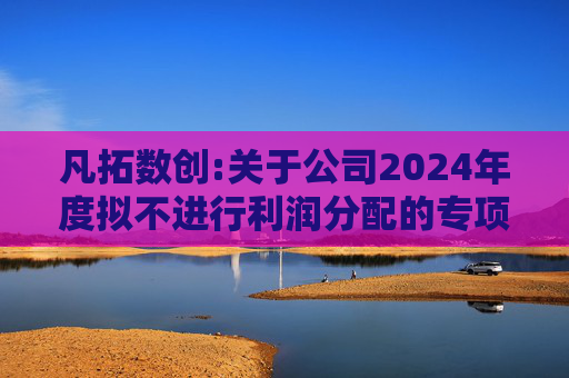凡拓数创:关于公司2024年度拟不进行利润分配的专项说明  第1张