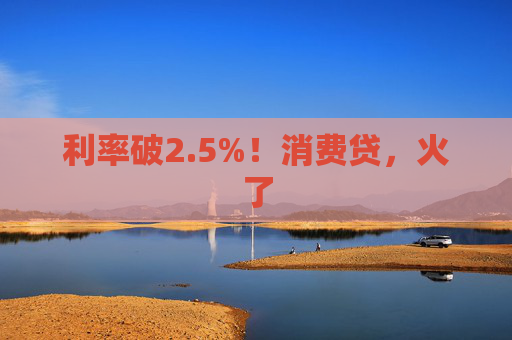 利率破2.5%！消费贷，火了